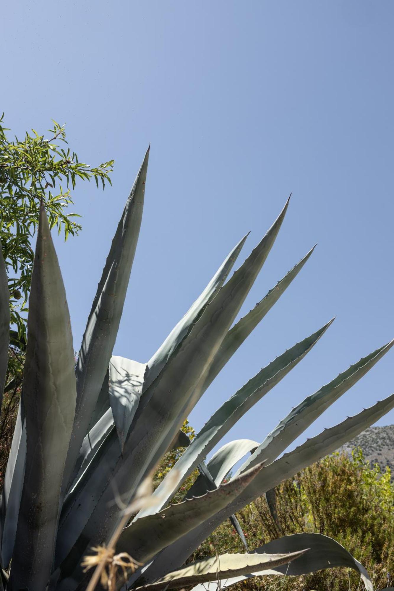 Petritis Guesthouse Oítilon Buitenkant foto
